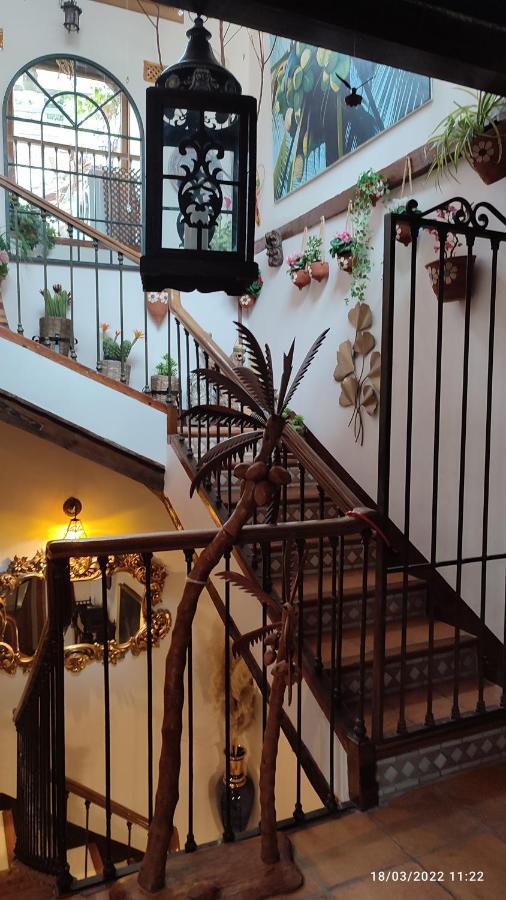 Pension Alfin Гранада Экстерьер фото