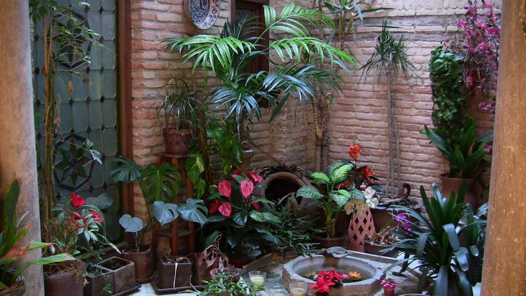 Pension Alfin Гранада Экстерьер фото